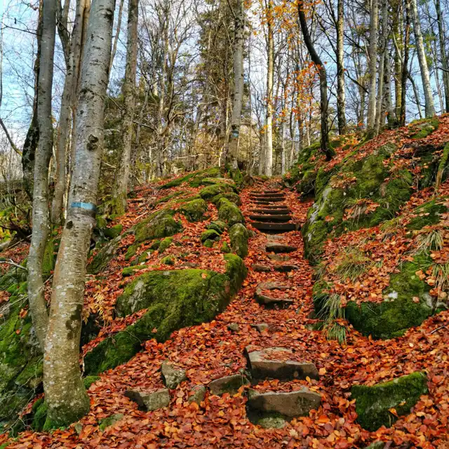 Trendfarger Naturen Happyhomes