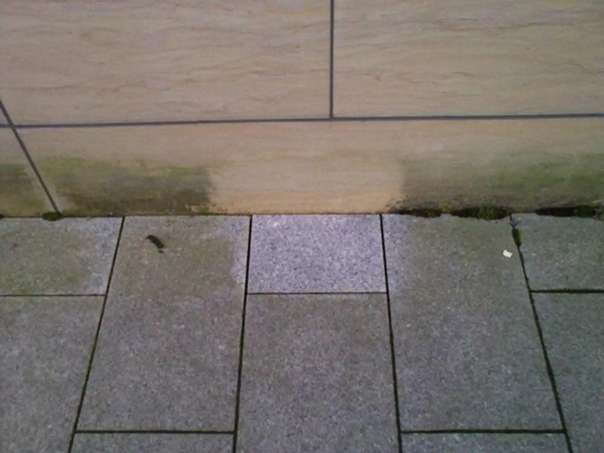 Fjerne mose og alger på stein happy homes