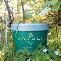 Korallvegg Skogen Happyhomes Form