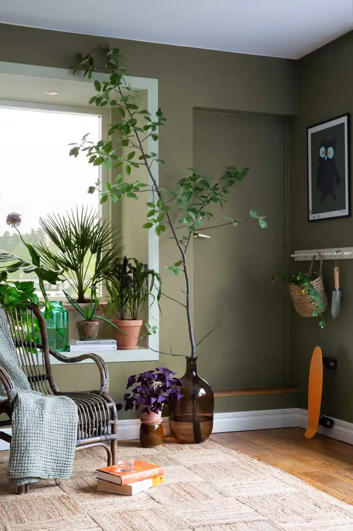 Hheinebær 2024 Happyhomes