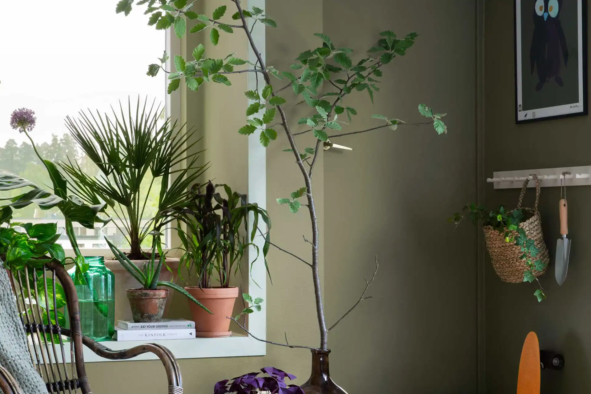 Hheinebær 2024 Happyhomes