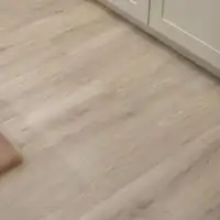 0001450 Maxwear Ek Raw 1920