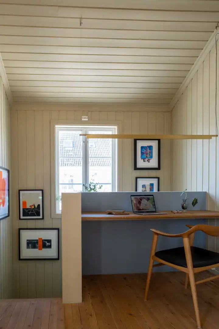 Male panle-475 Sommervind.jpg